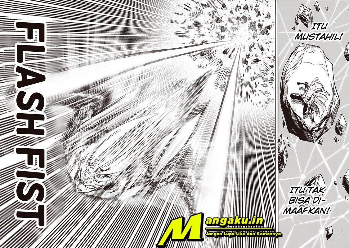 One Punch Man Chapter 206