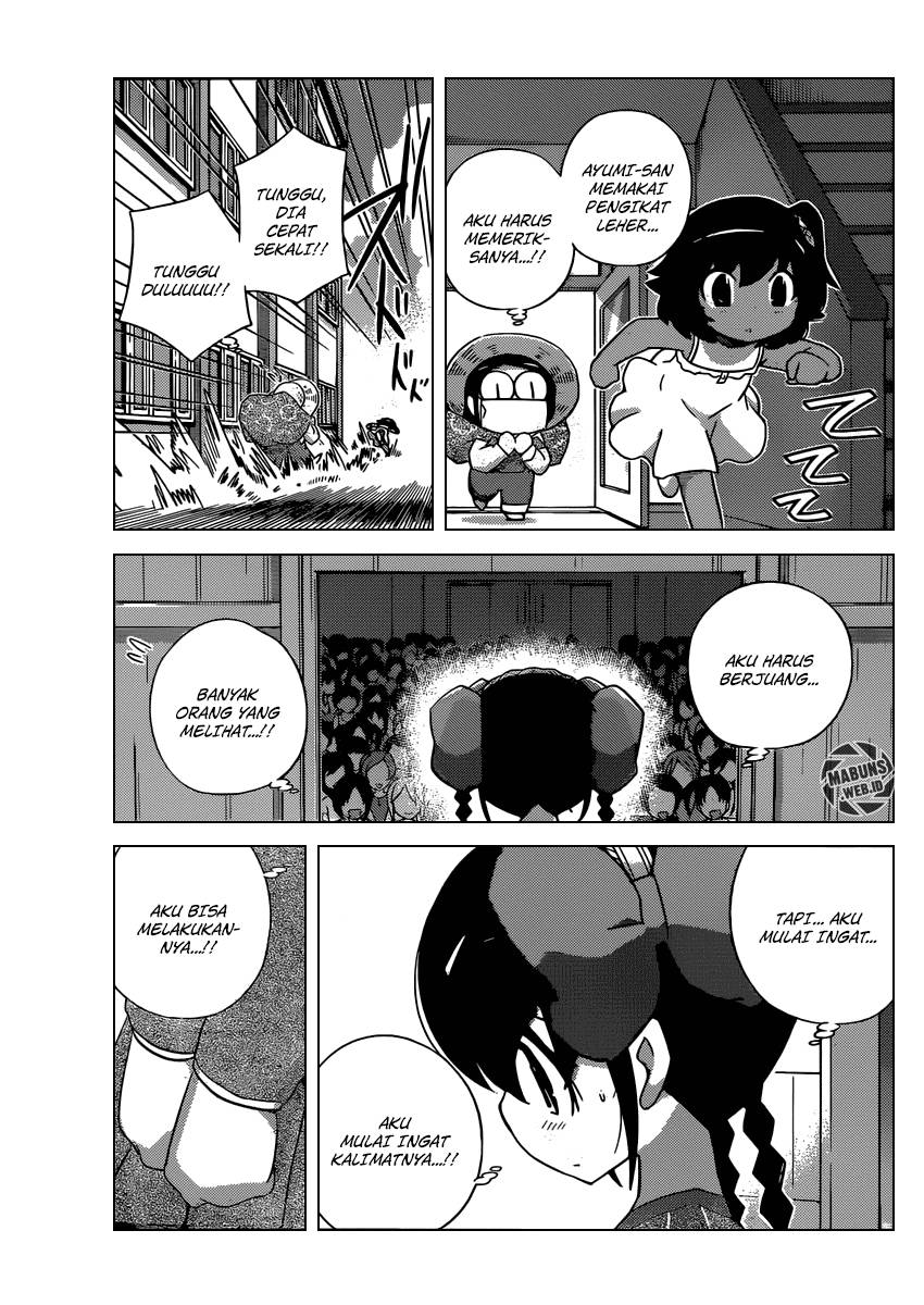 The World God Only Knows Chapter 244