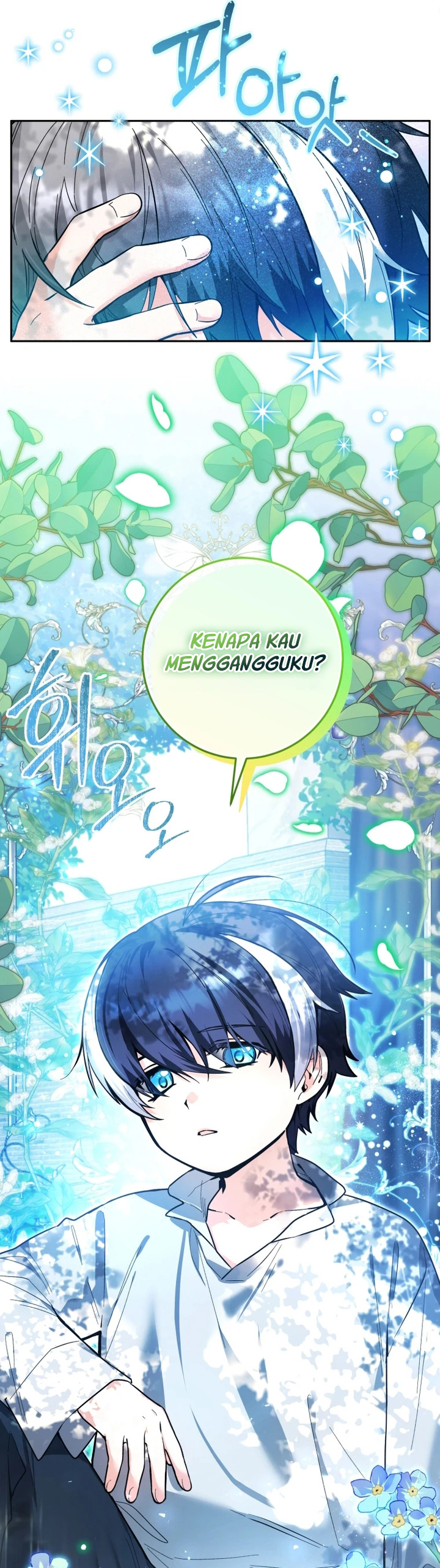 Black Killer Whale Baby Chapter 11