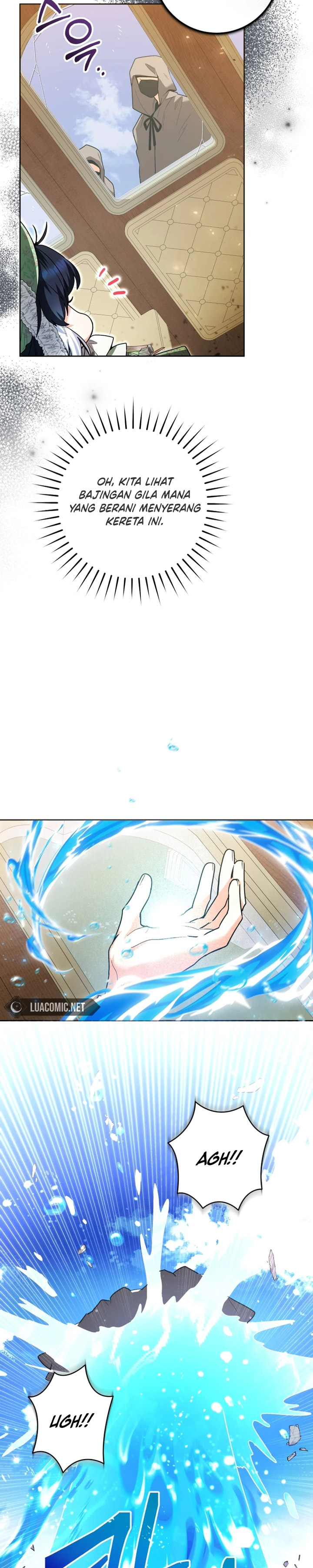 Black Killer Whale Baby Chapter 33