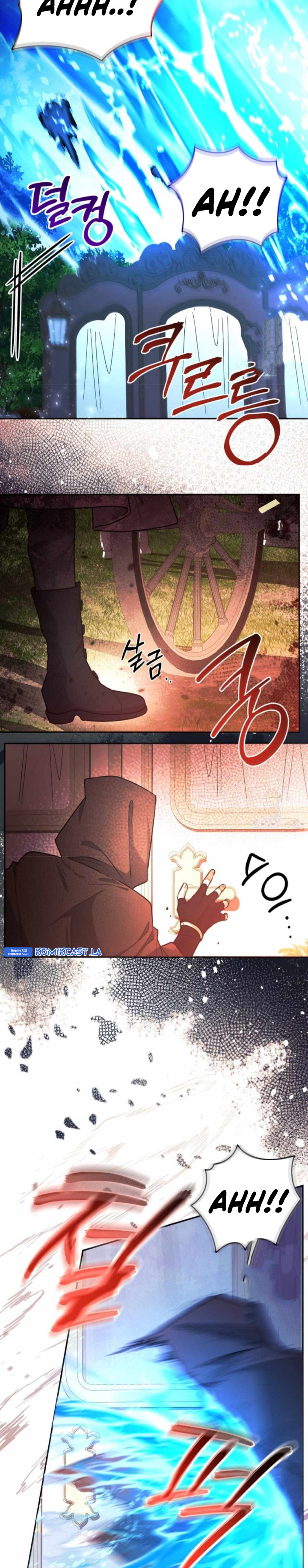 Black Killer Whale Baby Chapter 48