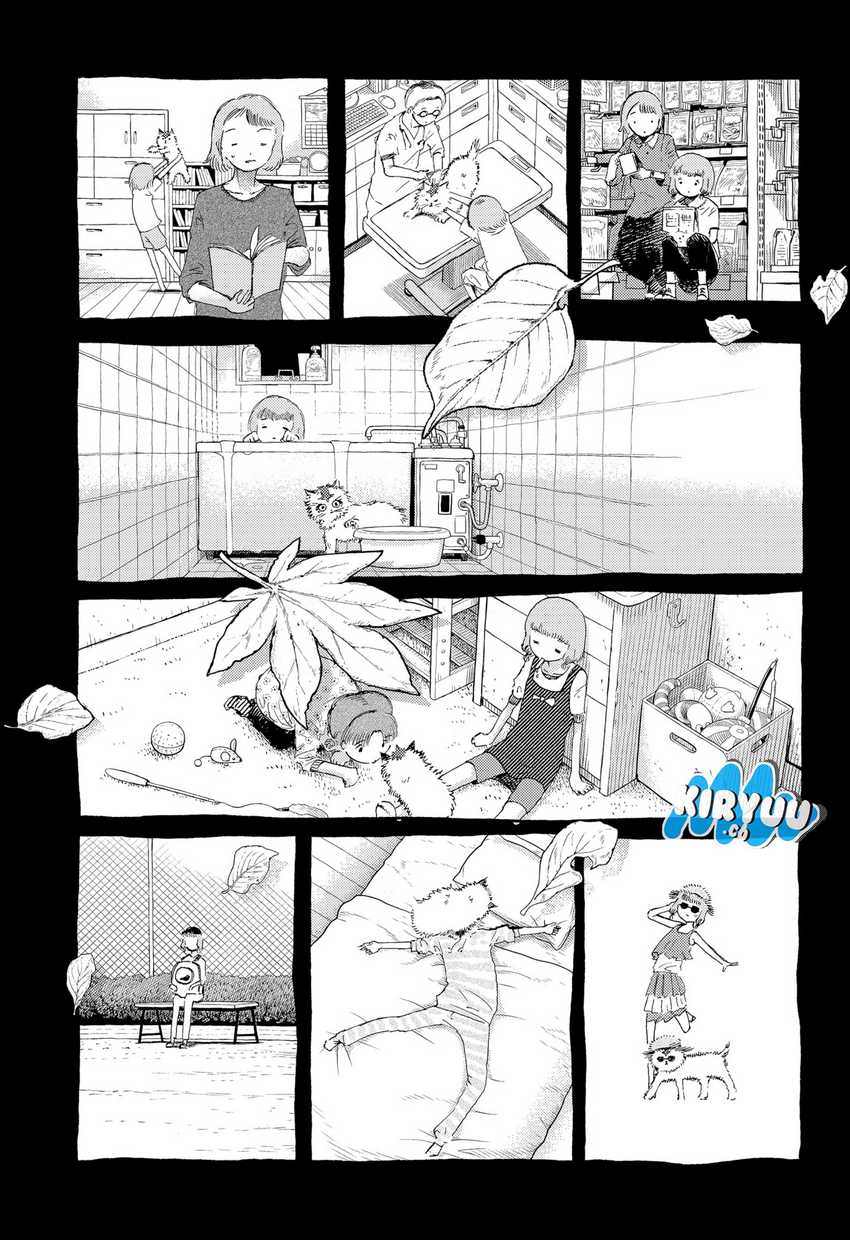 Stellar Friend Chapter 13