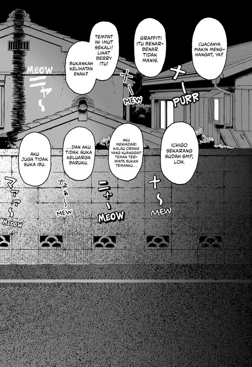 Stellar Friend Chapter 13