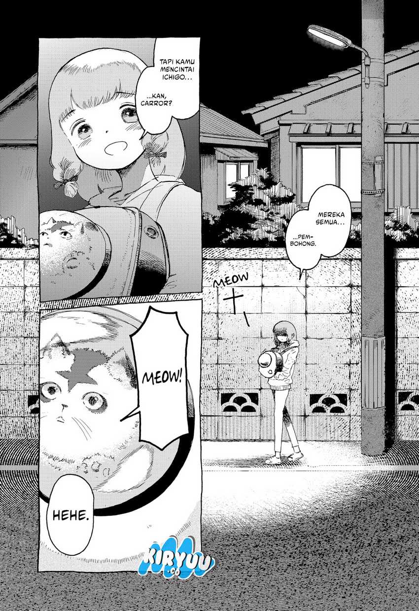 Stellar Friend Chapter 13
