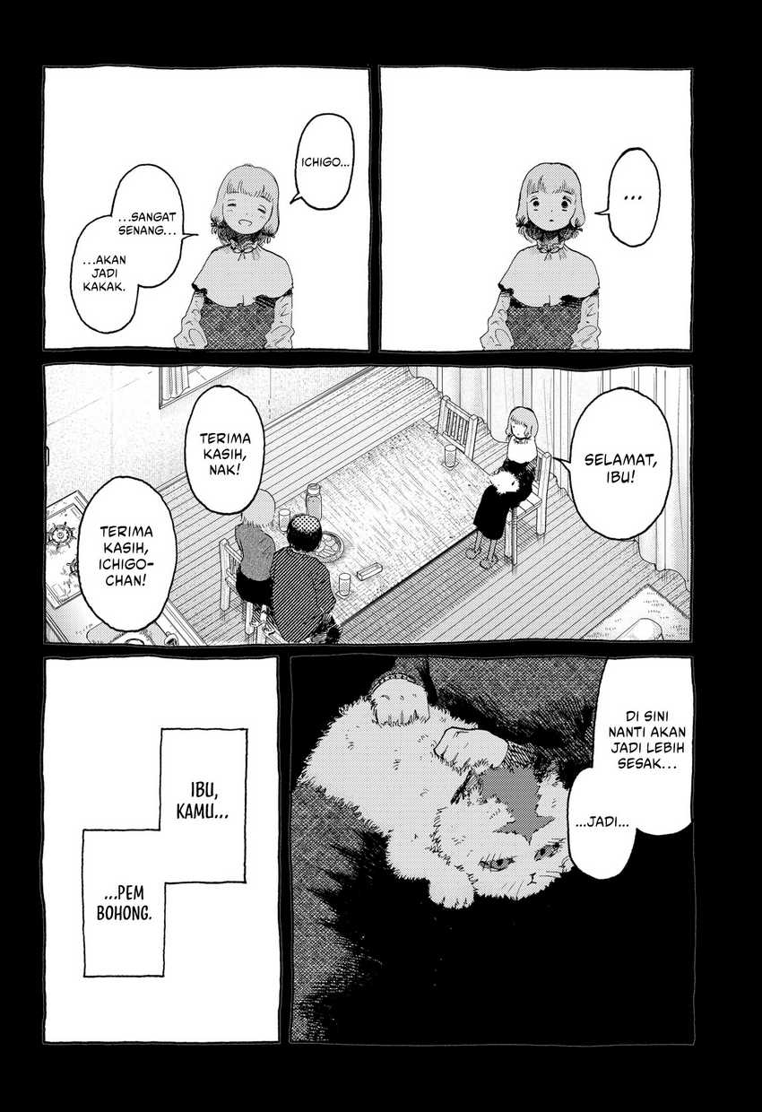 Stellar Friend Chapter 13