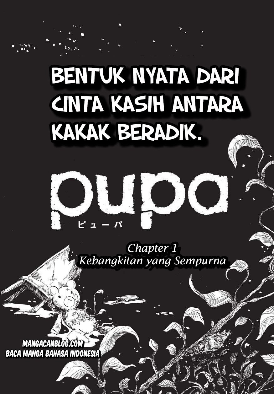 Pupa Chapter 1