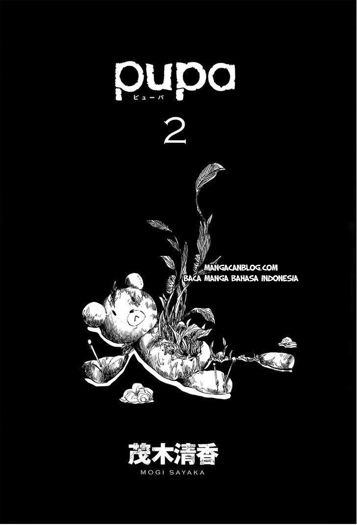 Pupa Chapter 8