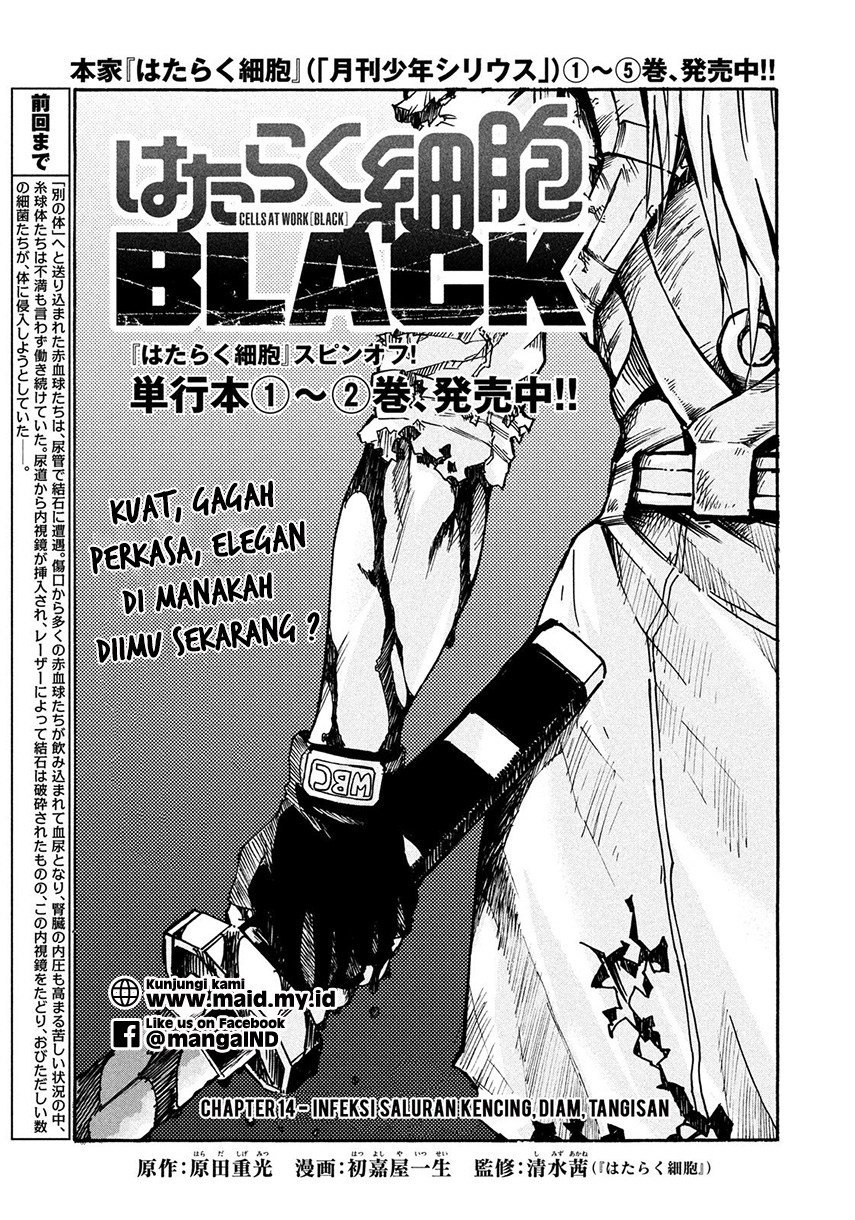 Hataraku Saibou BLACK Chapter 14