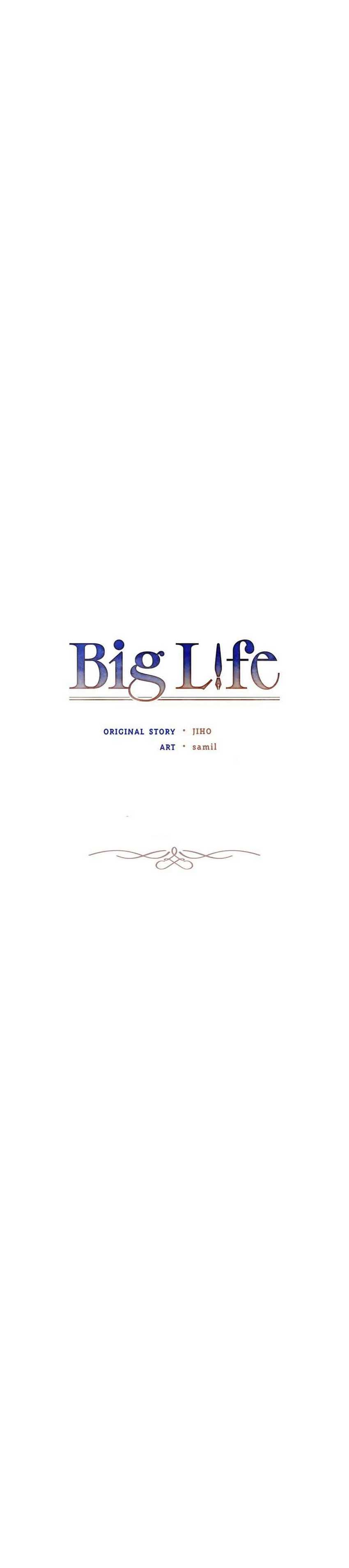 Big Life Chapter 12