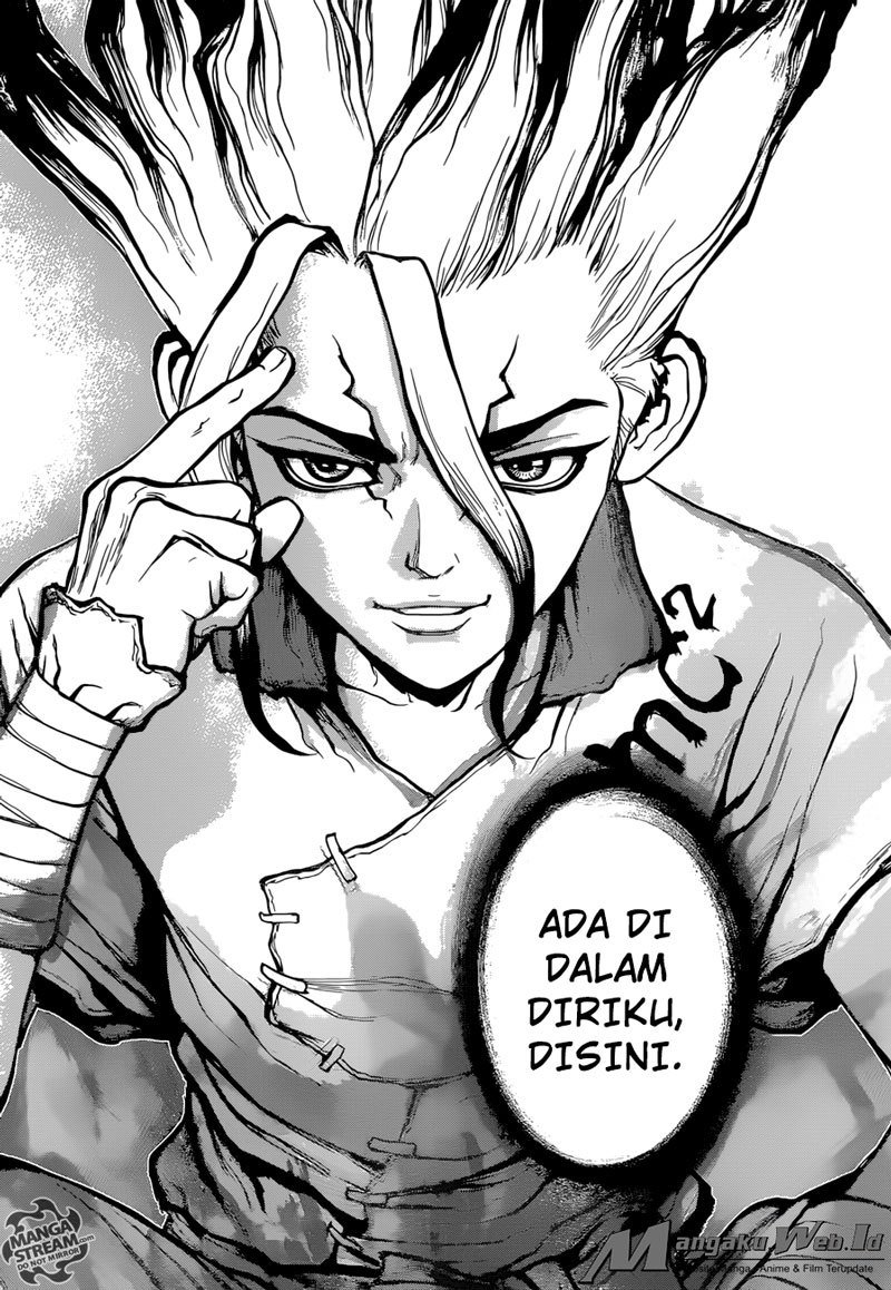 Dr Stone Chapter 19