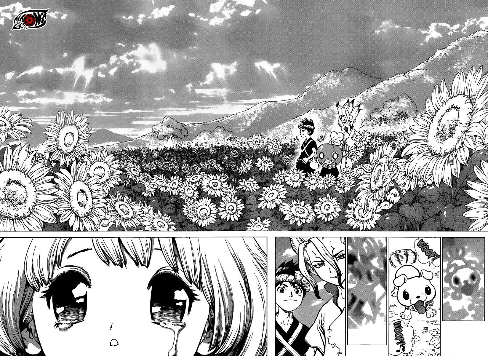 Dr Stone Chapter 28 page 13