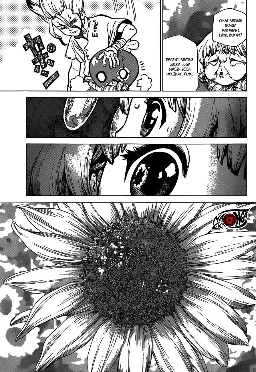 Dr Stone Chapter 28 page 12