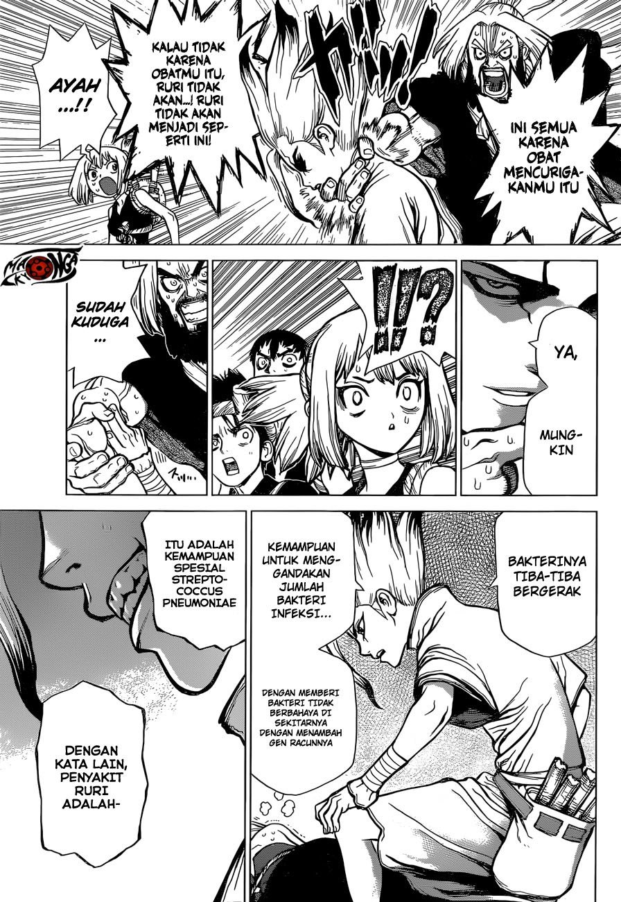 Dr Stone Chapter 41