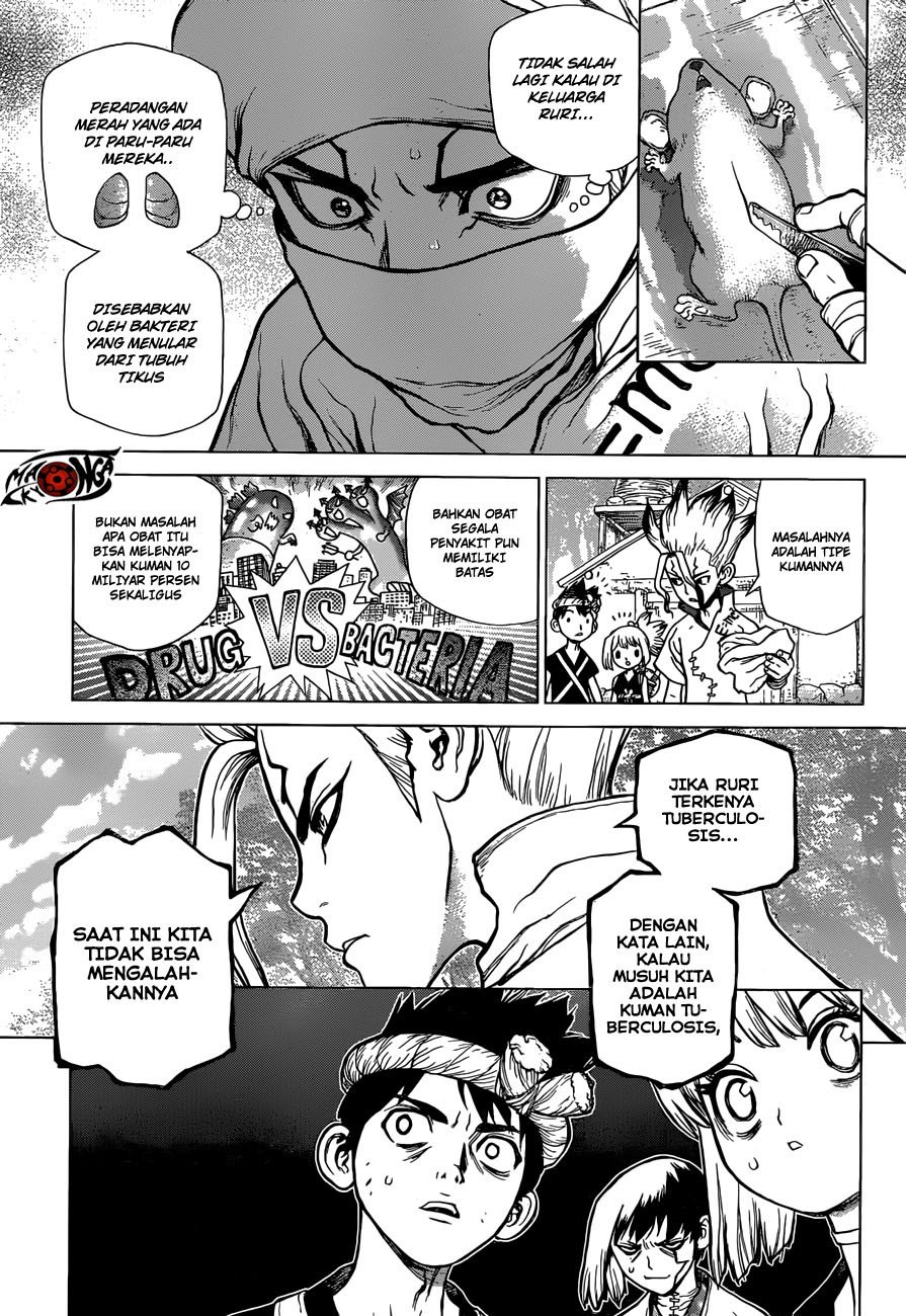 Dr Stone Chapter 41