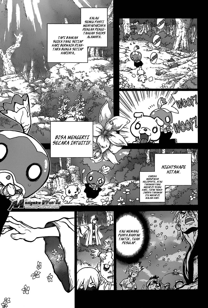 Dr Stone Chapter 48