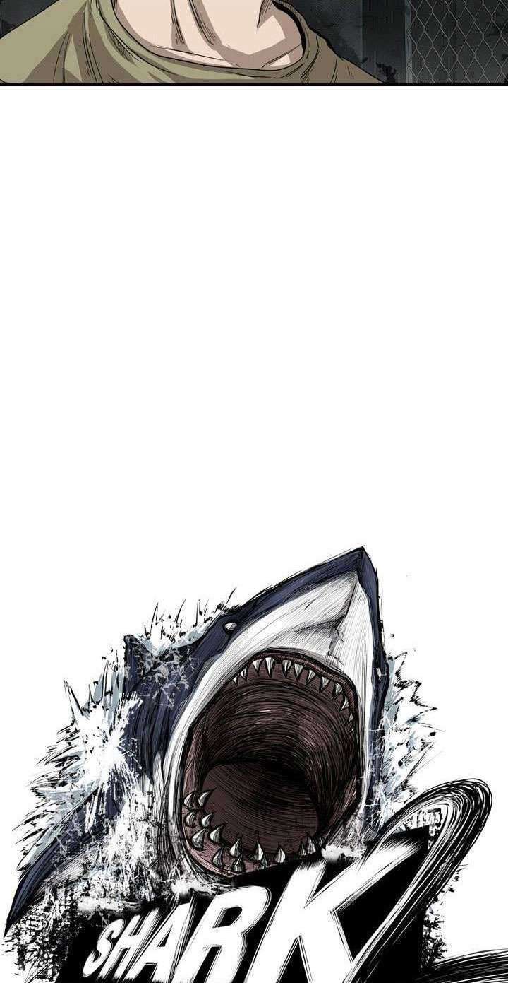 Shark Chapter 95