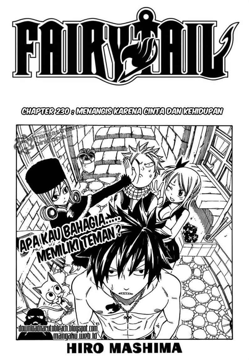 Fairy Tail Chapter 230