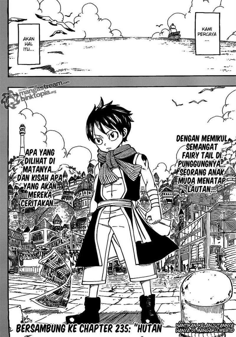 Fairy Tail Chapter 234