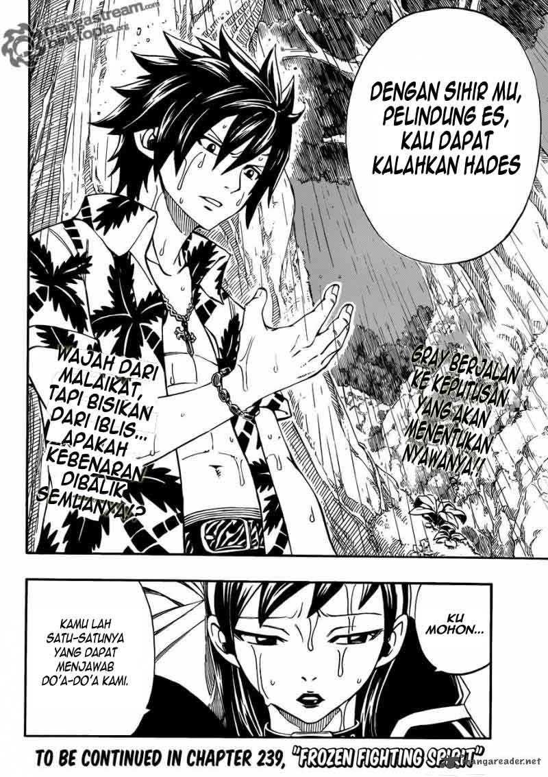Fairy Tail Chapter 238