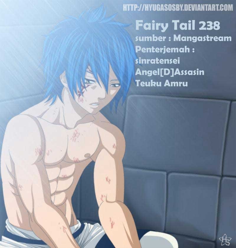 Fairy Tail Chapter 238