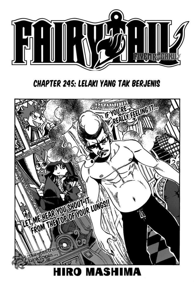 Fairy Tail Chapter 245